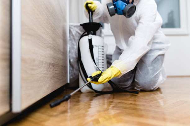 Best Affordable Pest Control Services  in Moorpark, CA