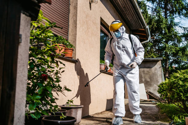 Best Flea Control Services  in Moorpark, CA