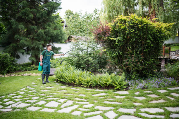 Best Pest Inspection Near Me  in Moorpark, CA