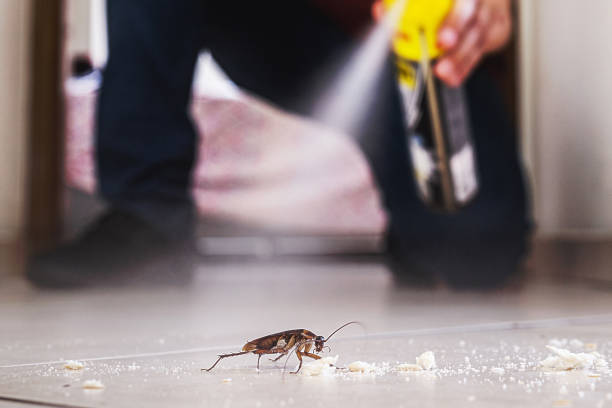 Best Commercial Pest Control Services  in Moorpark, CA