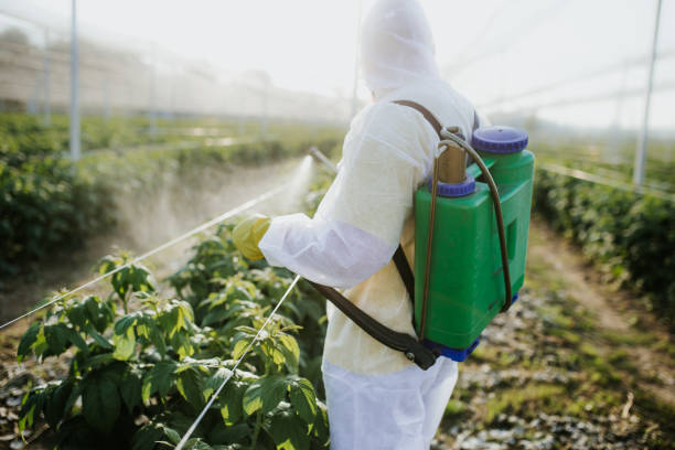 Best Wasp Removal Services  in Moorpark, CA